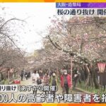 「これだけの桜なかなか見られない」「すごくかわいらしい」高齢者らが一足早く桜の通り抜け　造幣局