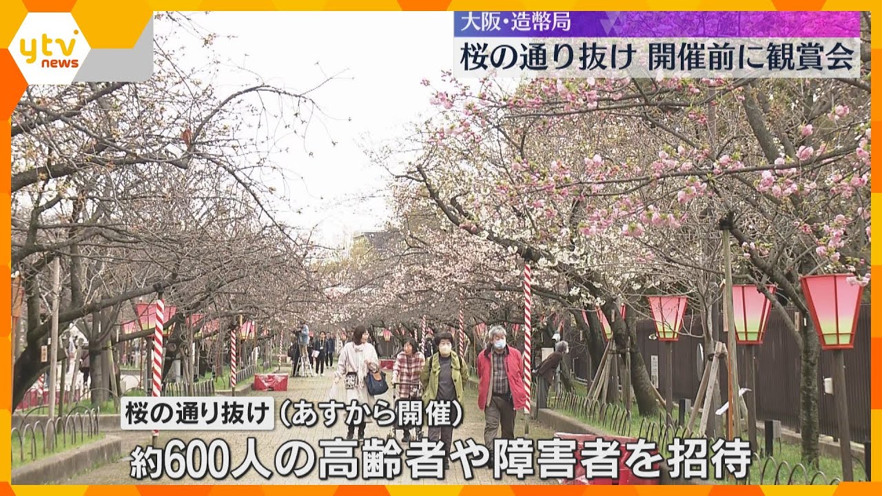 「これだけの桜なかなか見られない」「すごくかわいらしい」高齢者らが一足早く桜の通り抜け　造幣局