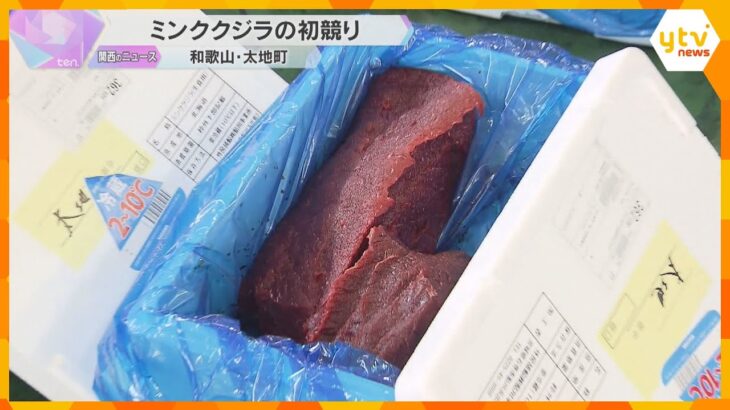 「肥えて脂のったクジラぜひ食べて」ミンククジラ初競り　2019年から商業捕鯨再開　和歌山・太地町