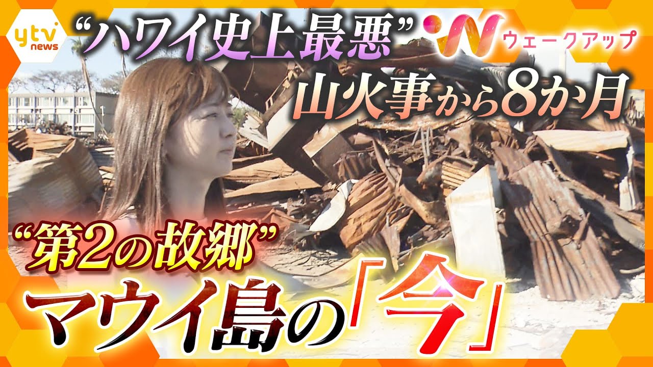 【中谷キャスター取材】 ハワイ史上最悪の山火事から8か月　焼け野原となった「ラハイナ」の現状は？【ウェークアップ】