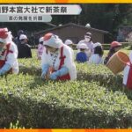 世界遺産の熊野本宮大社で一番茶を摘み取る「新茶祭」小学生も参加して収穫と茶の発展を祈願　和歌山