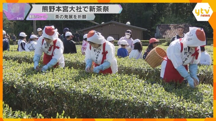 世界遺産の熊野本宮大社で一番茶を摘み取る「新茶祭」小学生も参加して収穫と茶の発展を祈願　和歌山