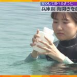もうすぐ海水浴シーズン！　兵庫県北部の海水浴場で水質調査を実施　透明度や大腸菌の数などを調査