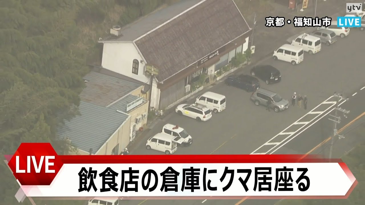 【ライブ】飲食店の倉庫にクマが侵入　今も居座り中　京都・福知山市