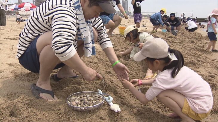 神戸の須磨海岸では２０日から潮干狩り始まり家族連れなどでにぎわう　６月２日まで開催予定