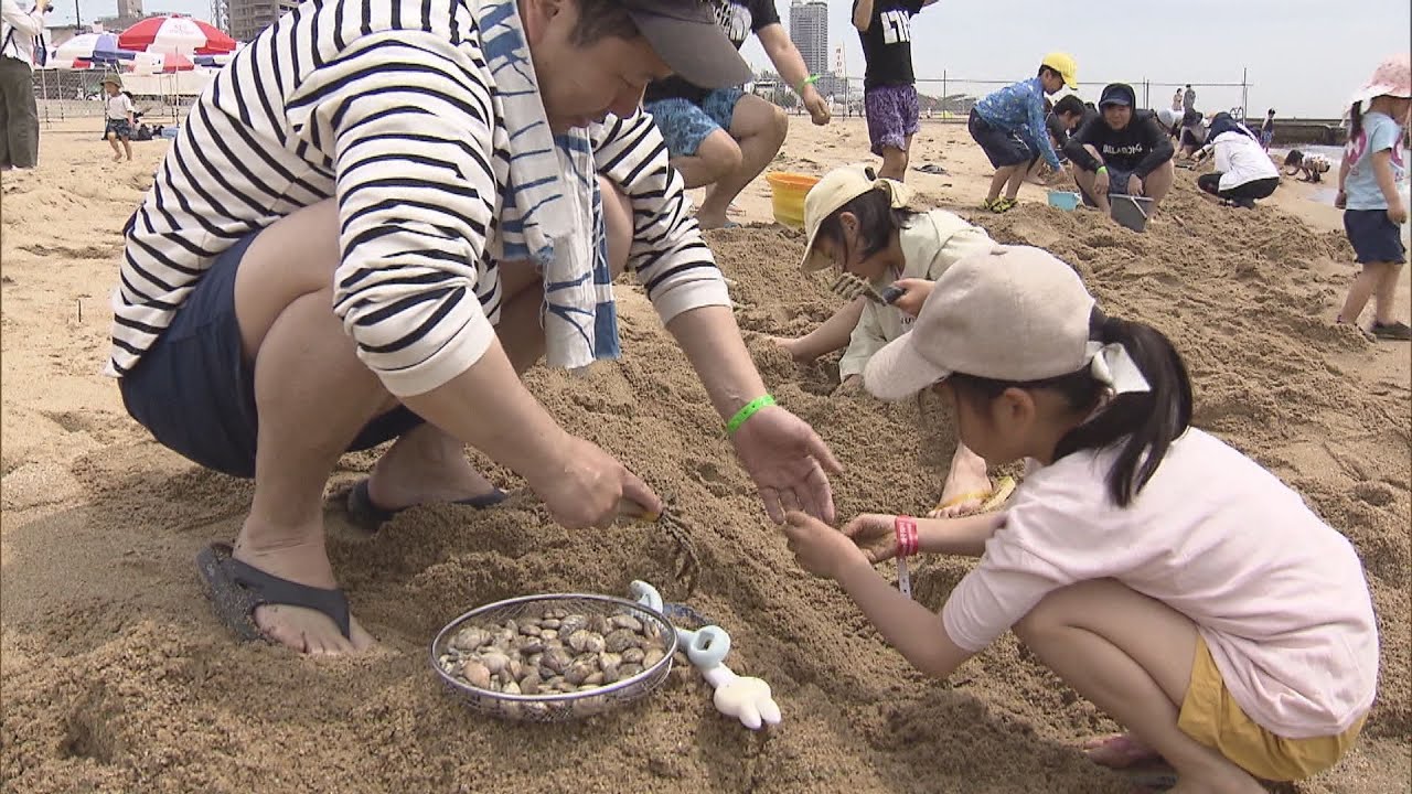 神戸の須磨海岸では２０日から潮干狩り始まり家族連れなどでにぎわう　６月２日まで開催予定