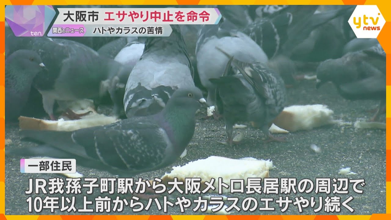 大阪市がハトやカラスへのエサやり中止命令　住吉区で10年以上前から続く　フンや騒音の苦情160件