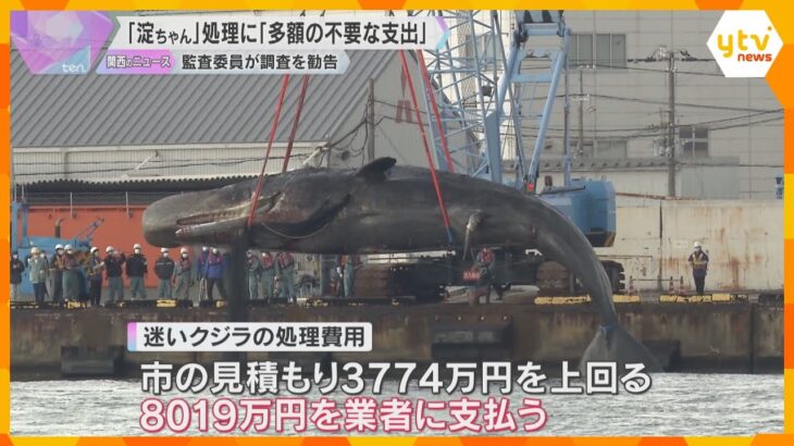 「多額の不要な支出が疑われる」迷いクジラ“淀ちゃん”処理費用8千万円に大阪市の監査委員が調査勧告