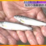 紀の川に稚アユ8万匹放流　友釣り漁の解禁までに約30万匹、3トンが放流される予定　和歌山