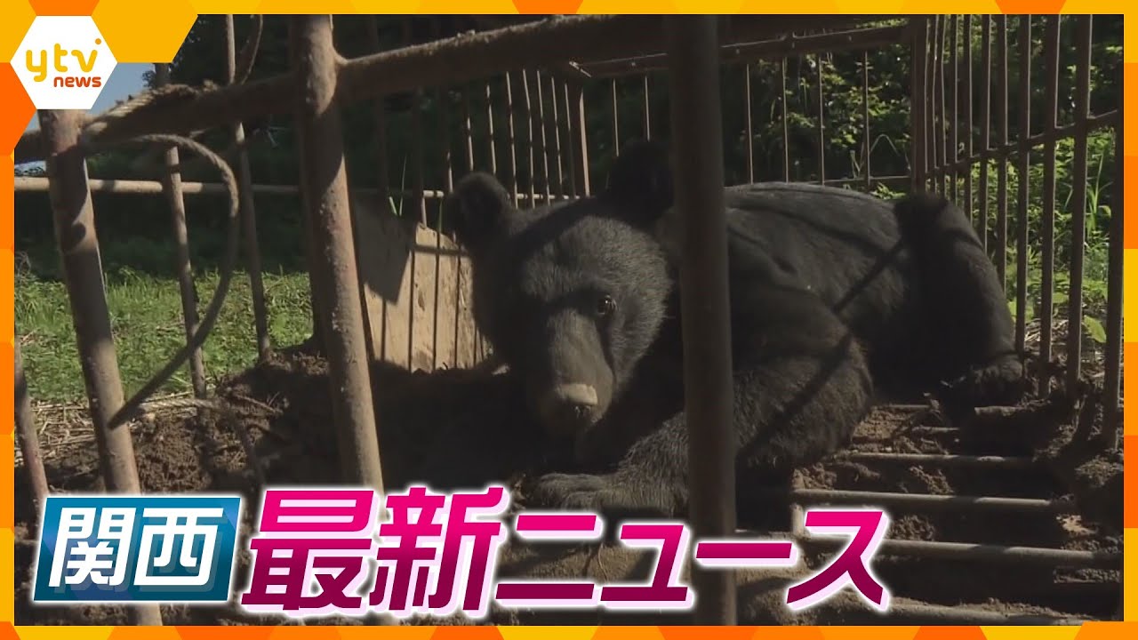 【ニュースライブ 5/22(水)】クマ「人を食べ物と認識して攻撃」/車の窓に首を挟まれ2歳児死亡/マネロン業者マニュアルを作成　ほか【随時更新】