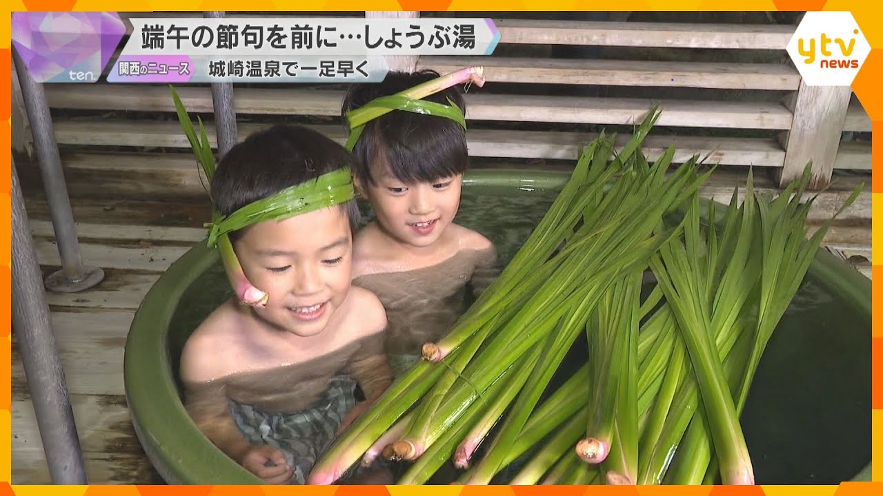城崎温泉で”しょうぶ湯”　端午の節句を前に…無病息災を願う風習　地元の園児が湯に浸かり満喫