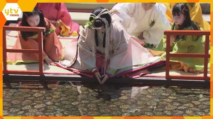 今年は下鴨神社で『御禊の儀』京都の三大祭りの一つ・葵祭のヒロイン「斎王代」が身を清める　
