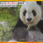 【映像で振り返る】「ずっと大好きだよ」国内最高齢のパンダ天国へ…神戸で愛された「タンタン」追悼式
