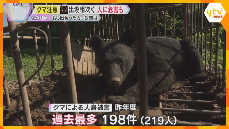 「人を食べ物と認識して攻撃」クマが人を襲う被害相次ぐ　福知山市では倉庫に居座る騒動も　国も対策へ