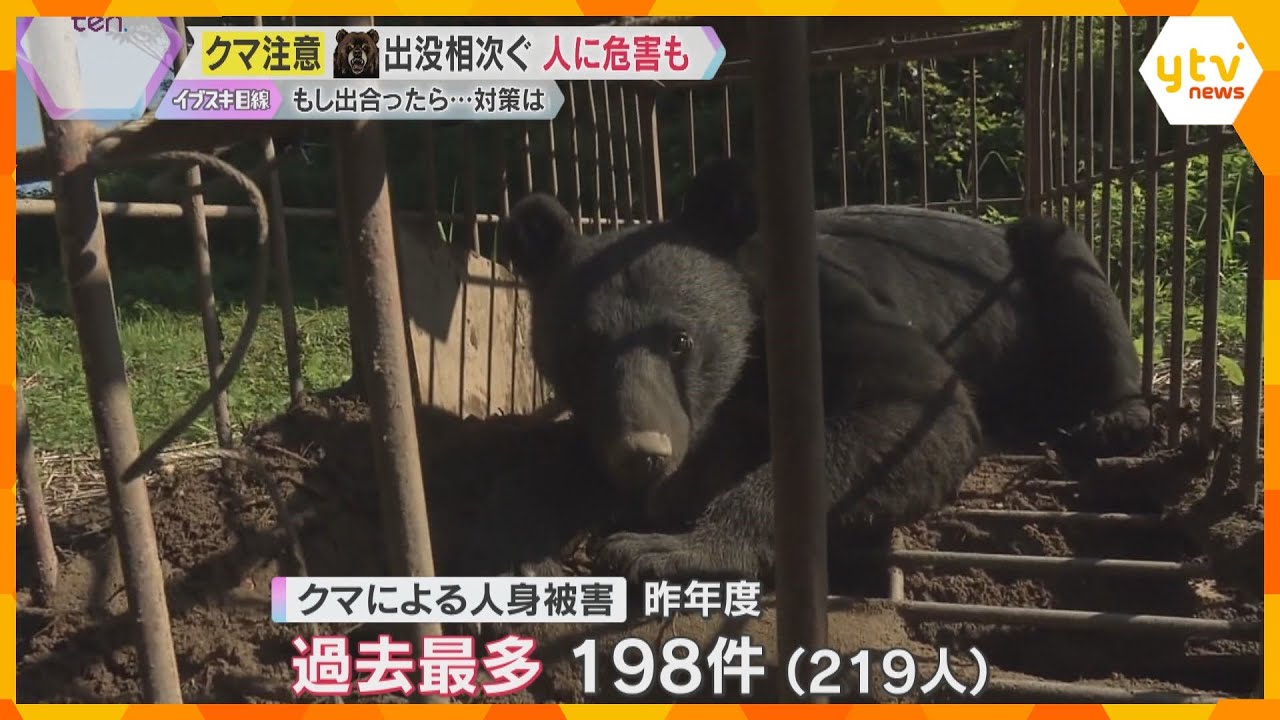 「人を食べ物と認識して攻撃」クマが人を襲う被害相次ぐ　福知山市では倉庫に居座る騒動も　国も対策へ