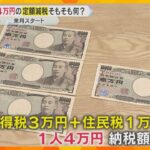 野党は「選挙対策、下心アリアリ」定額減税の給与明細明記巡り　“政治とカネ”実質的な審議スタート