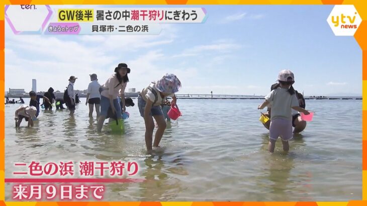 「GWの思い出に」二色の浜で潮干狩り、家族連れで賑わう　6月9日まで毎日開催　大阪・貝塚市
