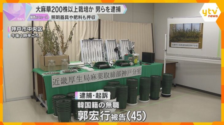 自宅で大麻草206株を栽培か　韓国籍の男2人を逮捕・起訴　栽培用の器具や肥料も押収　麻薬取締部