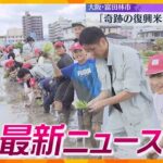 【ニュースライブ ６/3(月)】「奇跡の復興米」田植え始まる/万博 学校無料招待 約7割が参加希望/ytv学生アナウンスコンテスト  ほか【随時更新】