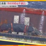 「違法とまでいえないが不適正」クジラ淀ちゃん処理費用、見積もりの4倍超に　大阪市監視委が問題指摘