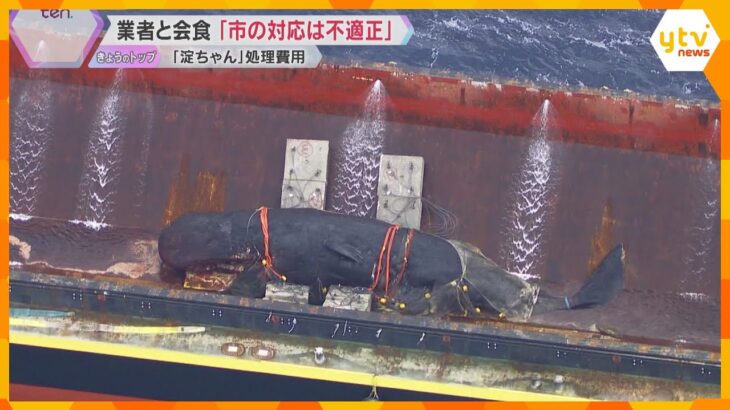 「違法とまでいえないが不適正」クジラ淀ちゃん処理費用、見積もりの4倍超に　大阪市監視委が問題指摘