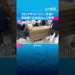 【さよなら】ワモンアザラシの「ミゾレ」が天国へ　海遊館で日本初の人工哺育　６月初めから食欲不振　#読売テレビニュース#tiktokでニュース