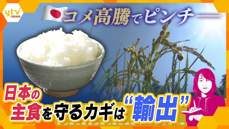 【ヨコスカ解説】日本の米を世界へ　物価高、円安のピンチをチャンスへ　主食を守るカギは「輸出」
