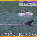 クジラと一緒に泳げるイベント　ハナゴンドウ2頭が海水浴場に 子どもたちは歓声　和歌山・太地町