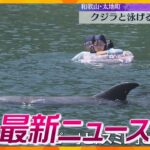 【ニュースライブ 7/30(火)】教え子に性的暴行の疑い/重要文化財で火事/クジラと泳げる海水浴場　ほか【随時更新】