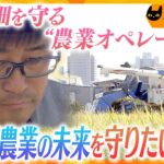 困りごとを解決！都市農家の助っ人”農業オペレーター”　農地を未来に繋ぐ、子どもたちに伝えたいこと【かんさい情報ネット ten.特集/ノゾキミ】