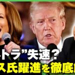 【“もしトラ”失速？】米大統領選たった1か月で何が…ハリス氏僅差でリードのワケを上智大・前嶋和弘教授が徹底解説！Z世代がけん引するSNS戦略とは｜アベヒル