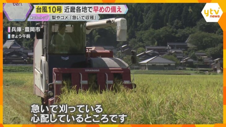 【台風10号】「動き遅く、影響長引く」1週間早く稲刈り、梨も収穫急ぐ「風で落ちるのは一番悲しい」