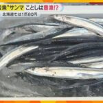 秋の味覚サンマが豊漁で安い？北海道では1匹80円「ウソみたい」大阪でも数百円、去年の約8分の1に