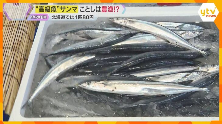 秋の味覚サンマが豊漁で安い？北海道では1匹80円「ウソみたい」大阪でも数百円、去年の約8分の1に