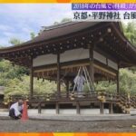 京都・平野神社　台風へ早めの備え進む　2018年の台風21号で拝殿の6本の支柱が折れ全壊