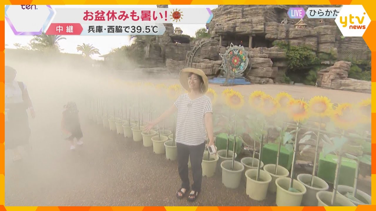 兵庫・西脇市で観測史上最高の39.5℃　“ひらパー”では涼を求めてプールとミストが大人気