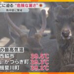 【暑い】近畿各地で40℃に迫る“危険な暑さ”　兵庫・西脇市で全国一を観測　奈良では鹿が涼む姿も