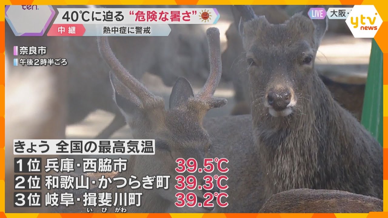 【暑い】近畿各地で40℃に迫る“危険な暑さ”　兵庫・西脇市で全国一を観測　奈良では鹿が涼む姿も