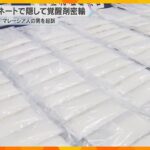 ラミネートシートで隠して約5億1千万円、約7.7キロの覚醒剤密輸か　マレーシア人を逮捕・起訴　