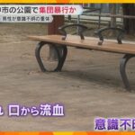 「複数人の男女が暴行している」住宅街の公園でタンクトップ1枚・下半身裸の男性発見　意識不明の重体