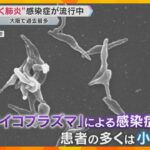 【警戒】“歩く肺炎”『マイコプラズマ肺炎』子ども中心に大流行　大阪が全国最多…主な症状とその対策