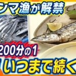 【イブスキ解説】サンマが今年は豊漁？競り値が去年の200分の1に下がったワケとは？世界で初めて繁殖に成功した現場に聞いた