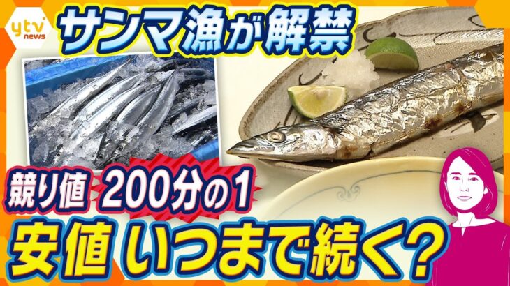 【イブスキ解説】サンマが今年は豊漁？競り値が去年の200分の1に下がったワケとは？世界で初めて繁殖に成功した現場に聞いた