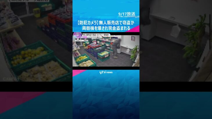 【一部始終】深夜3時、野菜やフルーツの無人販売店に男が…#shorts #読売テレビニュース