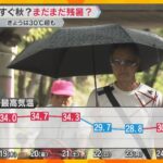 「やめてー、もう体もちません」30℃超え、再び真夏日の所も…夏と秋の“行ったり来たり“に悲鳴