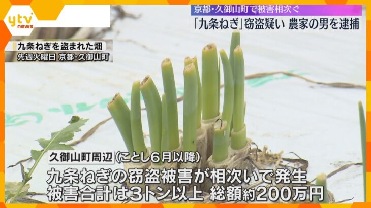 「九条ねぎ」窃盗の疑い　自身も生産農家の男逮捕　周辺で被害相次ぐ　計3トン以上総額200万円