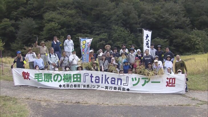 「日本の棚田百選」の景観を稲刈り体験で守る！京都・福知山市の「毛原の棚田」で開催　米は地酒に