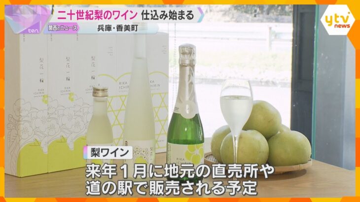 全国的にも珍しい「梨ワイン」の仕込み始まる　天候に恵まれ糖度高い　来年1月販売予定　兵庫・香美町