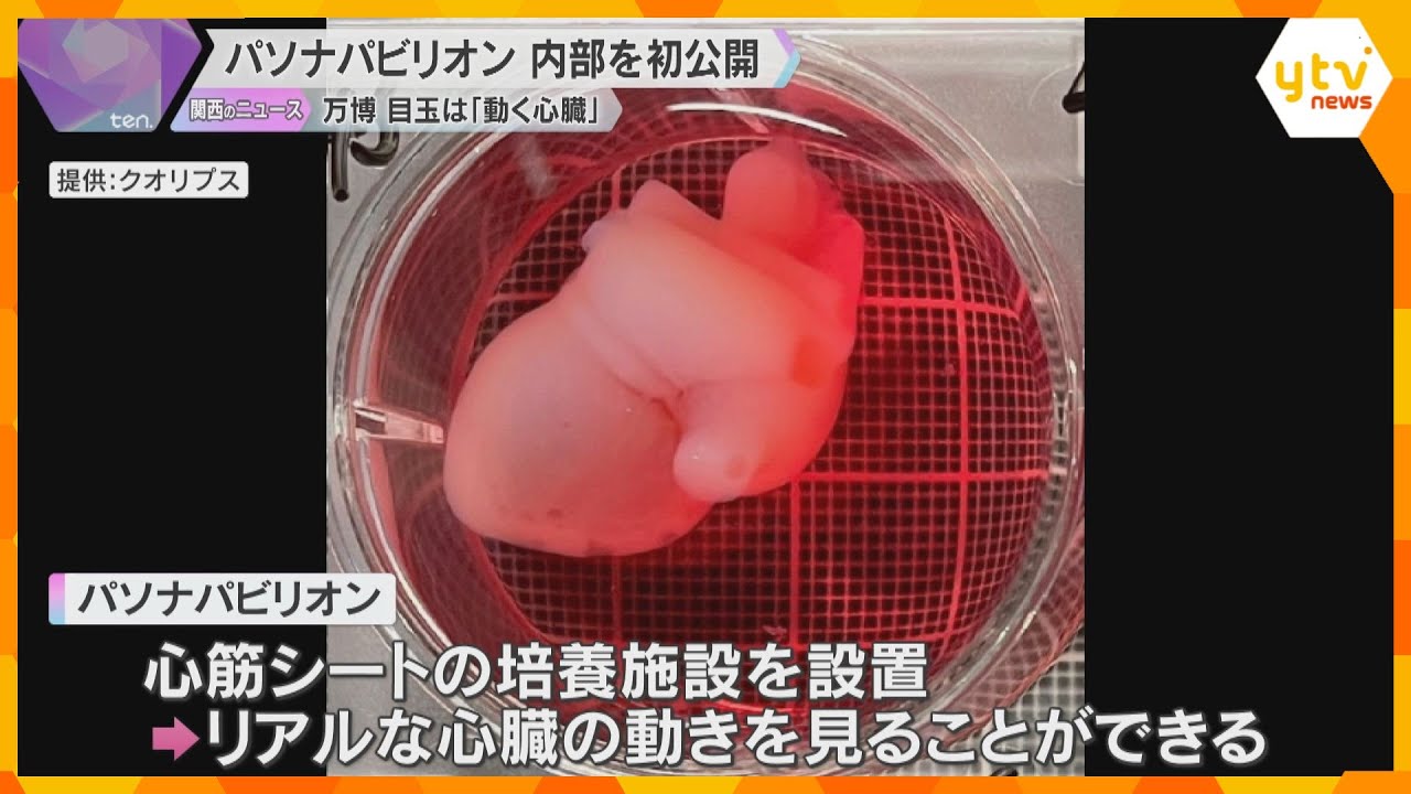 【万博】目玉は「心筋シート」による“動く心臓”　パソナグループが出展するパビリオンの内部公開　