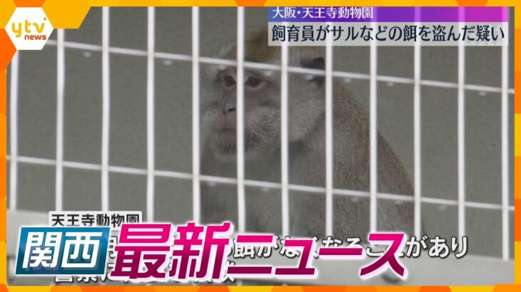 【ニュースライブ 10/3(木)】飼育員がサルなどのエサを…/自民 自主投票を正式決定へ/「酒を飲んでいたとバレたくなくて」　ほか【随時更新】